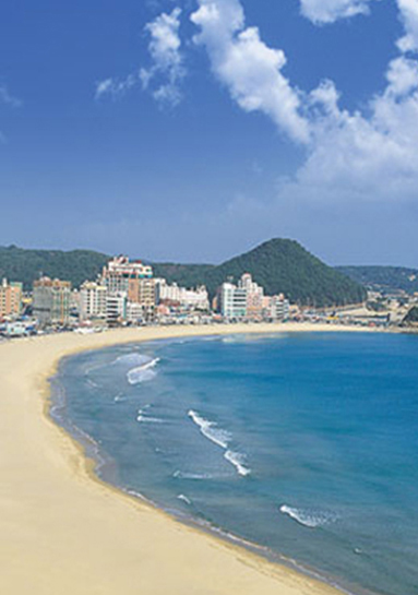 송정해수욕장